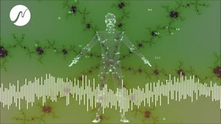 Lymphsystem-Detox: Entfernung von Abfallstoffen und Giftstoffen aus dem Körper (neowake®)