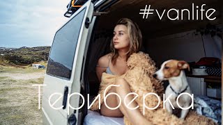 В ТЕРИБЕРКУ НА САМОДЕЛЬНОМ АВТОДОМЕ // ПОЧЕМУ ТУДА ЕДУТ ЛЮДИ !? // VANLIFE