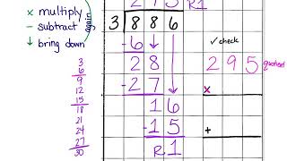 Division Worksheet #5