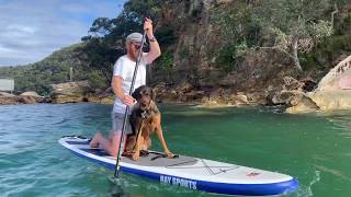 Bay Sports 10'6" EXPLORE board on Pittwater with dog on board!