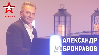 Александр ДОБРОНРАВОВ в программе "МУЗЫКА+" | телеканал "Звезда", 2022