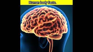 Amazing human body facts. Amazing facts. About human body.