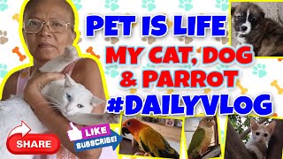 PET IS LIFE MY CAT, DOG & PARROT DAILY VLOG