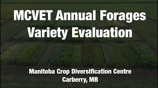 MCVET Annual Forages Variety Evaluation - 2023 Update