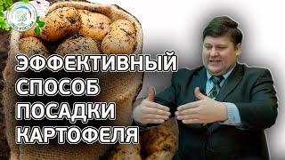 КАРТОФЕЛЯ БУДЕТ В 2 РАЗА БОЛЬШЕ ЕСЛИ ПОСАДИТЕ ТАКИМ СПОСОБОМ. Как посадить картофель.