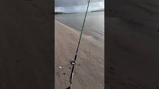 Fishing for river cats on the mighty Columbia river