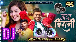 Nepali dj song 🎧||Maya Birani nepali dj song||full electro mix||remix by dj Sameer galfadiya sunsari