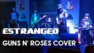 Cover of Guns N' Roses’ Estranged