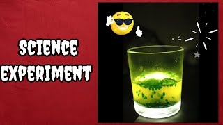 Mini Lava Lamp science experiment 🔥 Solely Science