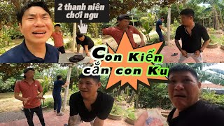 Rìu Giái Chơi Ngưu Bắt Kon Kiến Kắn Kon Ku