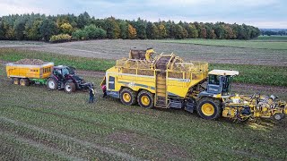 🇵🇱 VALTRA NIE DAŁA RADY!? 🇵🇱 Kopanie Buraków 2022 z Firmą Dubas! | Wtopa | Ropa Tiger 6 | AGROSzymek