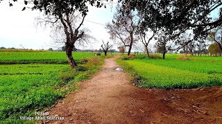 village life in pakistan punjab village life of punjab punjab village garden pakistan