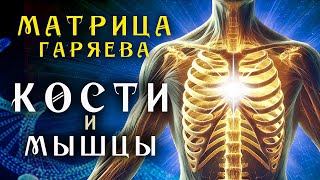 Матрица Гаряева для Исцеления Костей и Мышц ☀️ Квантовое исцеление звуком