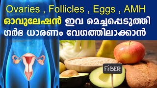 Ovaries , Follicles , Eggs , AMH , ഓവുലേഷന്‍ ഇവ മെച്ചപ്പെടുത്തി ഗര്‍ഭ ധാരണം വേഗത്തിലാക്കാന്‍