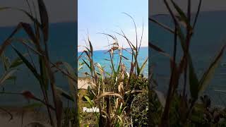 Prasoudi Beach Corfu - Παραλία Πρασούδι Κέρκυρα #greece #corfu #beach #summer