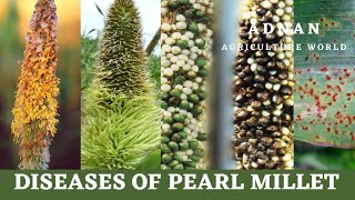 Pearl Millet Diseases | Pathogen | Symptoms|  AGRICULTURE WORLD