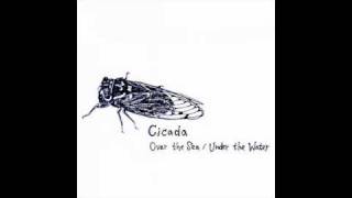 Cicada - Fly