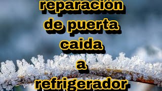 reparación de puerta caida a Refrigerador