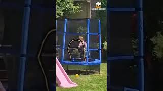 Blauwe trampoline 140 cm