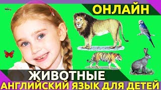 ⭐ Учим английский язык.🙉 Животные на английском языке. 25 карточек Домана по-английски для детей👍