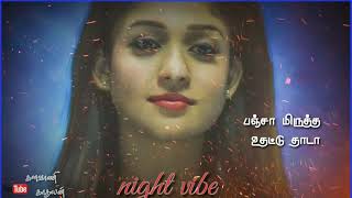 Night vibe/ nayanthara/(களவாணி காதலன்)