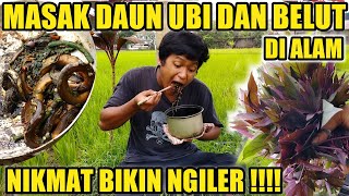 ‼️NGEBOLANG DAPAT DAUN UBI DAN BELUT LANGSUNG MASAK DI ALAM, MANTAP 🤤