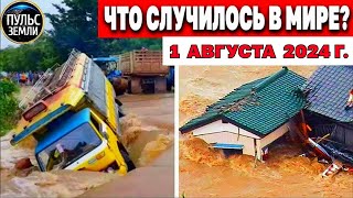 Катаклизмы за день 01.08.2024! Пульс Земли! новости сегодня наводнение ураган град События Дня ЧП