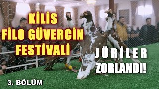 JÜRİLER ZORLANDI: KİLİS FİLO GÜVERCİN FESTİVALİ 3.BÖLÜM