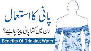 Pani Ka Istemal In Urdu | Din Mein Kitne Litre Pani Peena Chahiye | Benefits OF Drinking Water