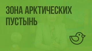 Зона арктических пустынь. Видеоурок по окружающему миру 4  класс