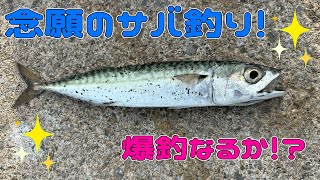 【釣りガール】ジグサビキでサバ狙い！【ダイソー釣り具】