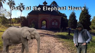 Back to the Elephant House at Rookwood Cemetery.