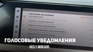 Голосовые уведомления/подсказке о телефоне/ запасе хода/остатке топлива Джили Монжаро/Geely Monjaro