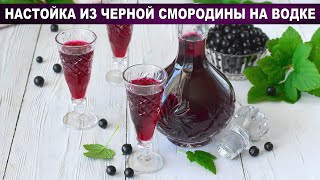 КАК ПРИГОТОВИТЬ НАСТОЙКУ ИЗ ЧЕРНОЙ СМОРОДИНЫ НА ВОДКЕ? Вкусная и ароматная, в домашних условиях