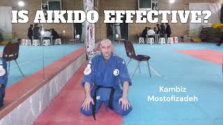 Kambiz Mostofizadeh - Is Aikido An Effective Martial Art?