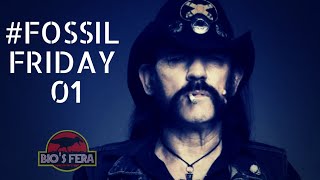 Lemmy, do Motorhead, virou fóssil. | #fossilfriday 01