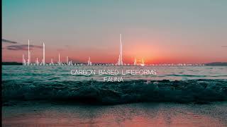 Carbon Based Lifeforms - Fauna