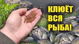 В АВГУСТЕ ВСЯ РЫБА КЛЮЁТ НА ЭТО!