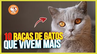 QUANTOS ANOS VIVE UM GATO?