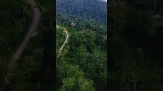 drone #shorts #dronevideo #djimini2