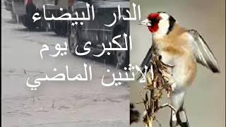 امطار الخير مصحوبة  حبات البرد