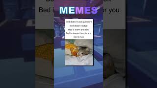 WHOLESOME Memes v355 #shorts