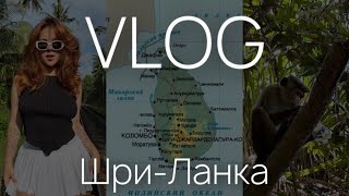 VLOG| Шри-Ланка | 3 недели на острове | семейный отдых