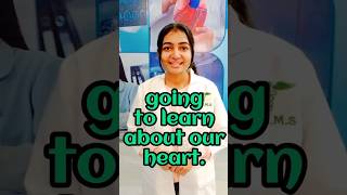 Frequently Ask Questions From Heart | Anatomy, Physiology | Medical Life, Paramedical Life #shorts