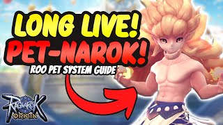 FULL PET SYSTEM EXPLAINED In Ragnarok Origin!