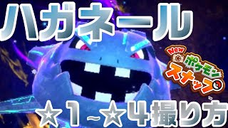 ハガネール☆１～☆４撮影方法【Newポケモンスナップ】