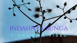 Bunga | cinematic video.