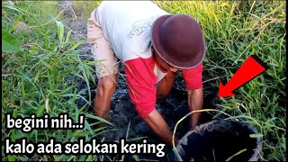 Jarang yang tau‼️mencari belut di parit yang mengering