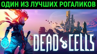 Dead Cells - Один из лучших рогаликов!