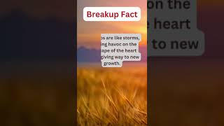 The Truth About Breakups | Shocking Breakup Facts Exposed! 💔